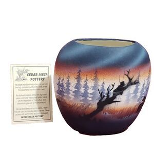Sedar Mesa Pottery Certificate Of Authenticity Oval Vase Signed Indian Hand pain